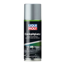 Plastiko priežiūros priemonė LIQUI MOLY 1510