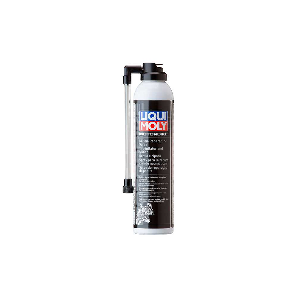 Montavimo pasta LIQUI MOLY 1579