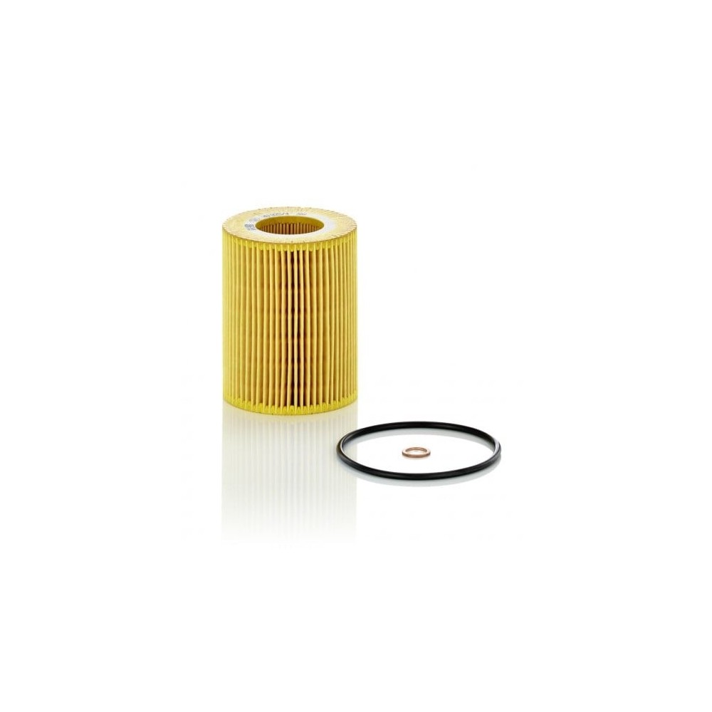 Alyvos filtras MANN-FILTER HU 925/4 x