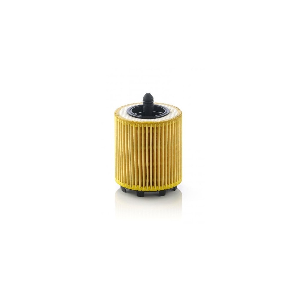 Alyvos filtras MANN-FILTER HU 6007 x