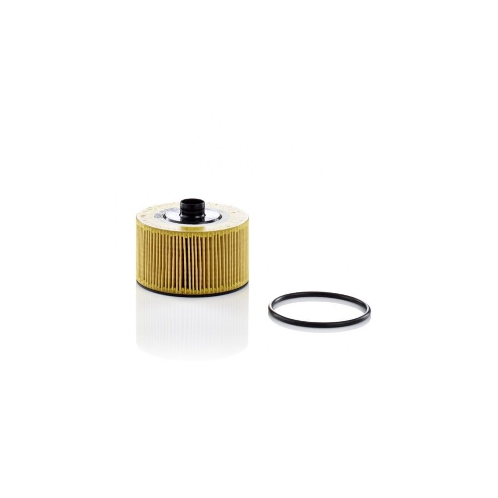 Alyvos filtras MANN-FILTER HU 10 002 z