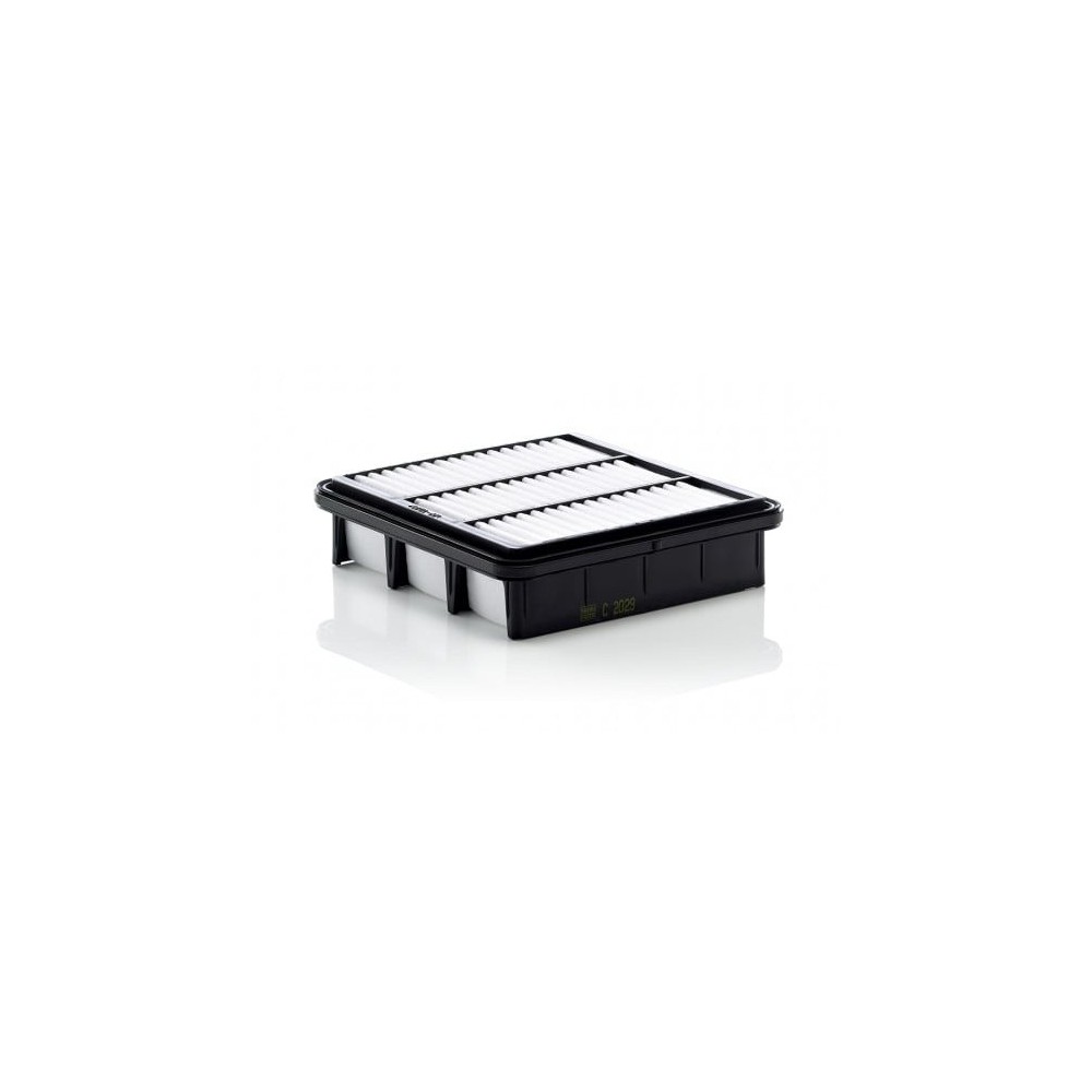 Oro filtras MANN-FILTER C 2029