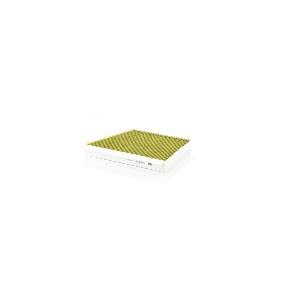 Salono filtras MANN-FILTER FP 3172