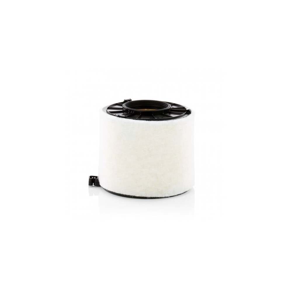 Oro filtras MANN-FILTER C 17 011