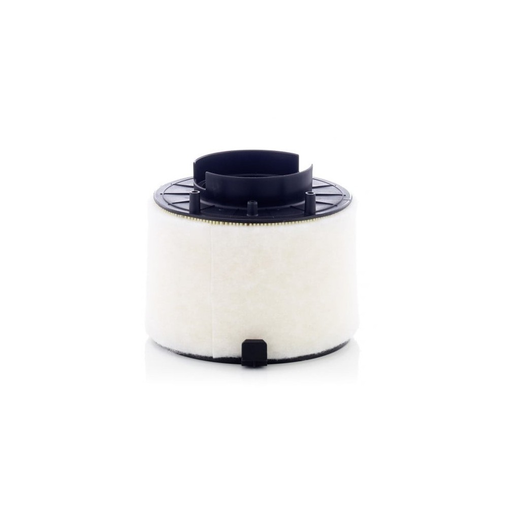 Oro filtras MANN-FILTER C 17 009