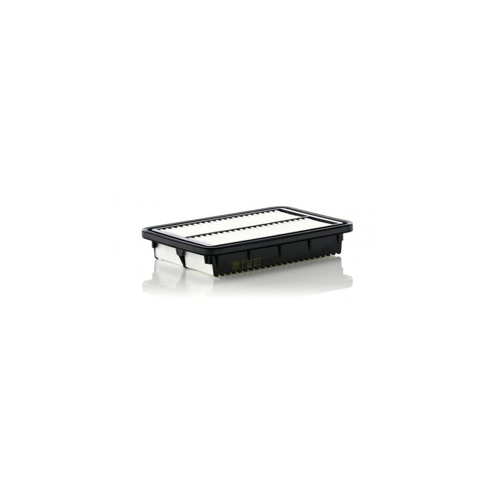 Oro filtras MANN-FILTER C 22 015