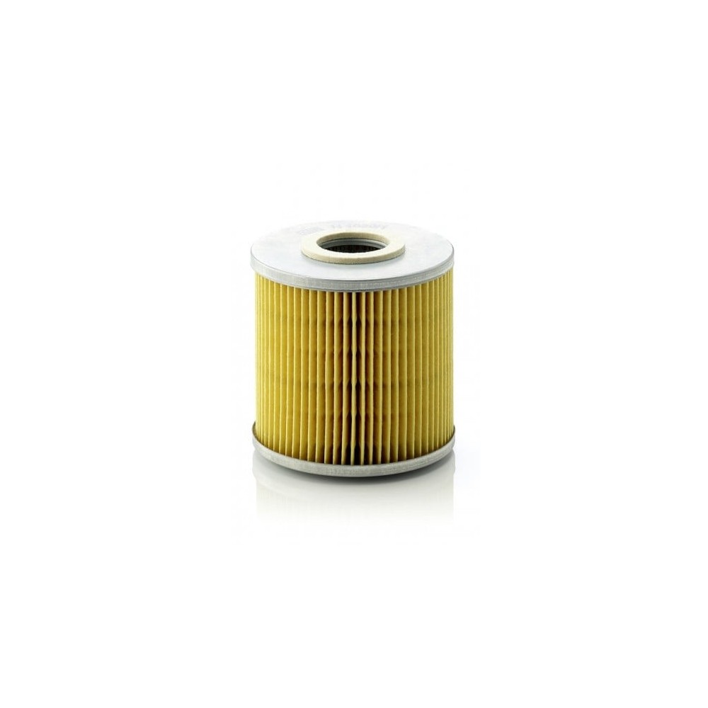 Alyvos filtras MANN-FILTER H 1029/1 n
