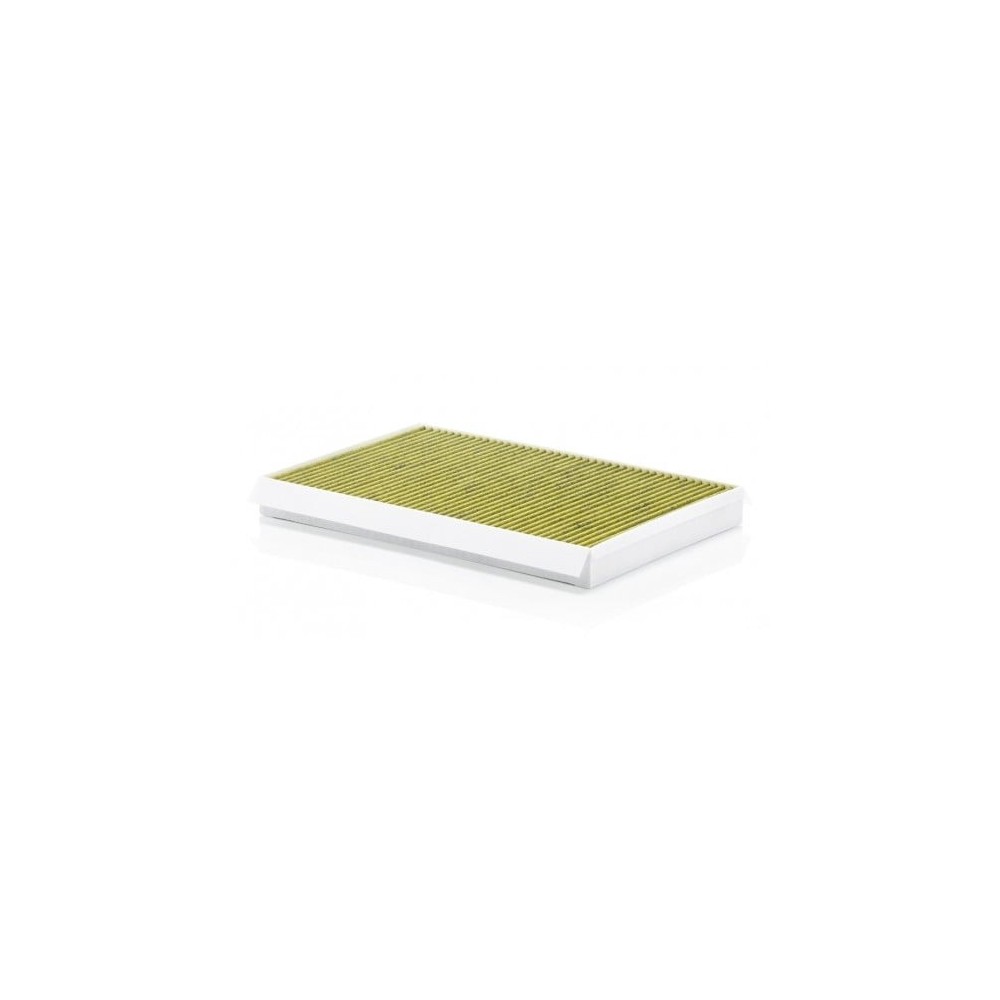 Salono filtras MANN-FILTER FP 3569