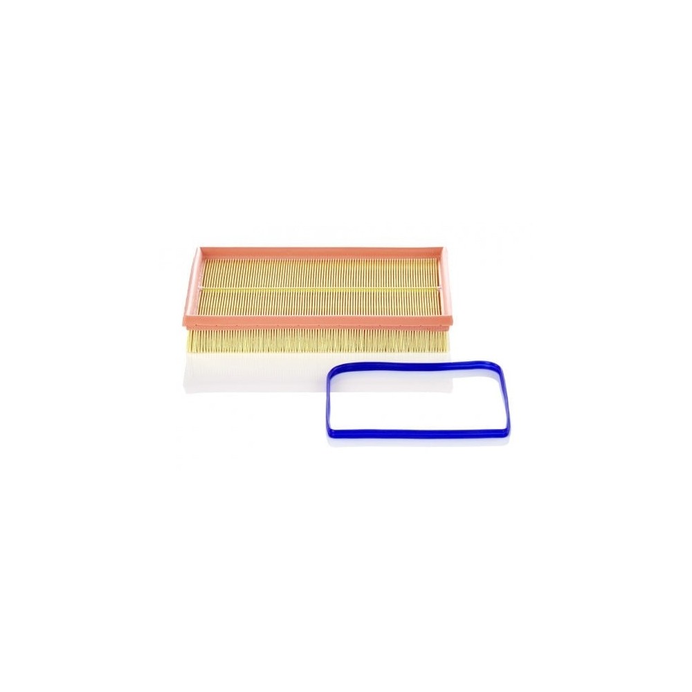 Oro filtras MANN-FILTER C 2998/5 x