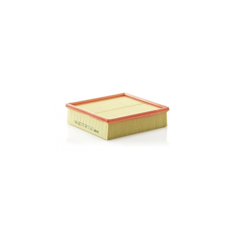 Oro filtras MANN-FILTER C 22 117