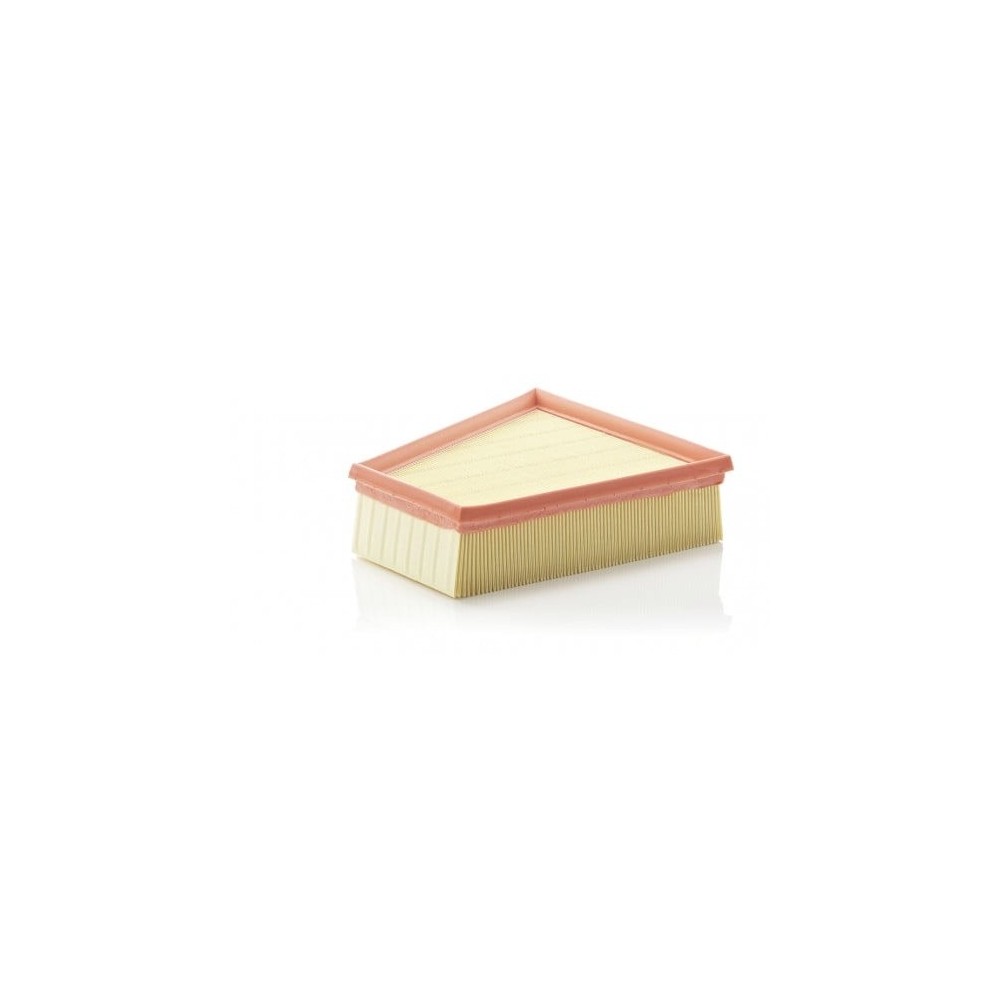 Oro filtras MANN-FILTER C 2295/2