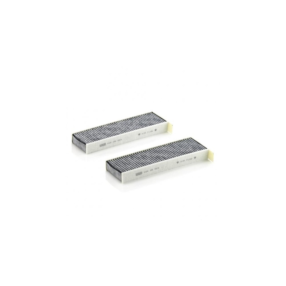Salono filtras MANN-FILTER CUK 29 003-2