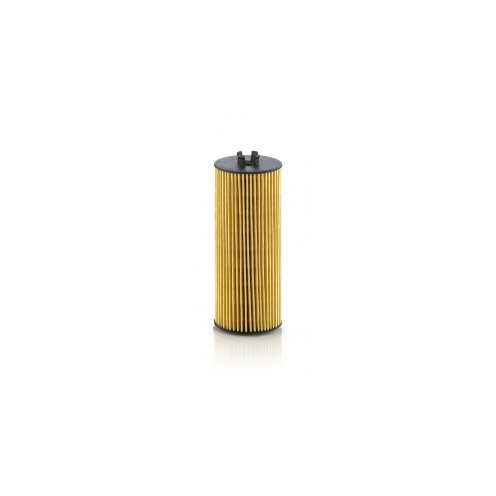 Alyvos filtras MANN-FILTER HU 6008 z
