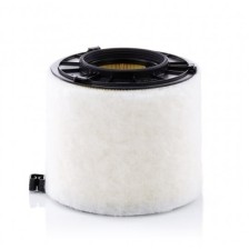 Oro filtras MANN-FILTER C 17 010