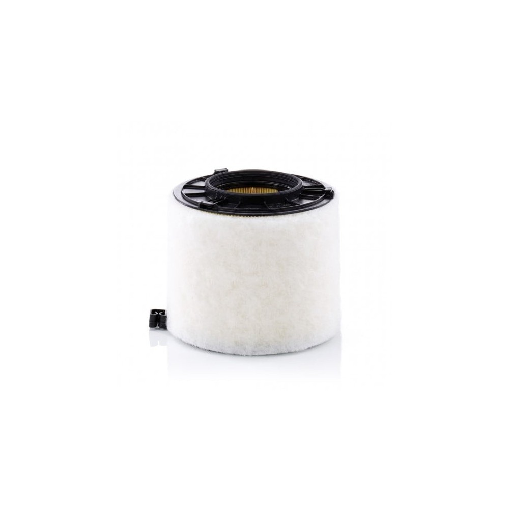 Oro filtras MANN-FILTER C 17 010
