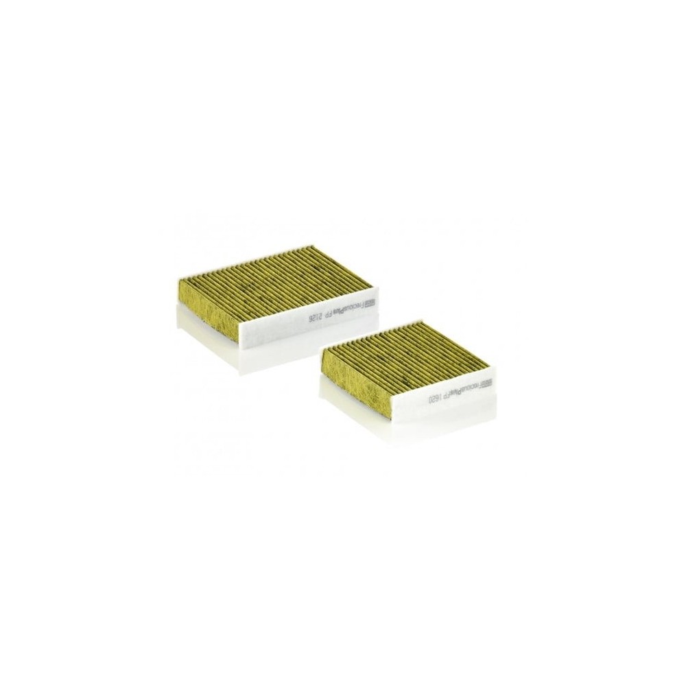 Salono filtras MANN-FILTER FP 21 000-2