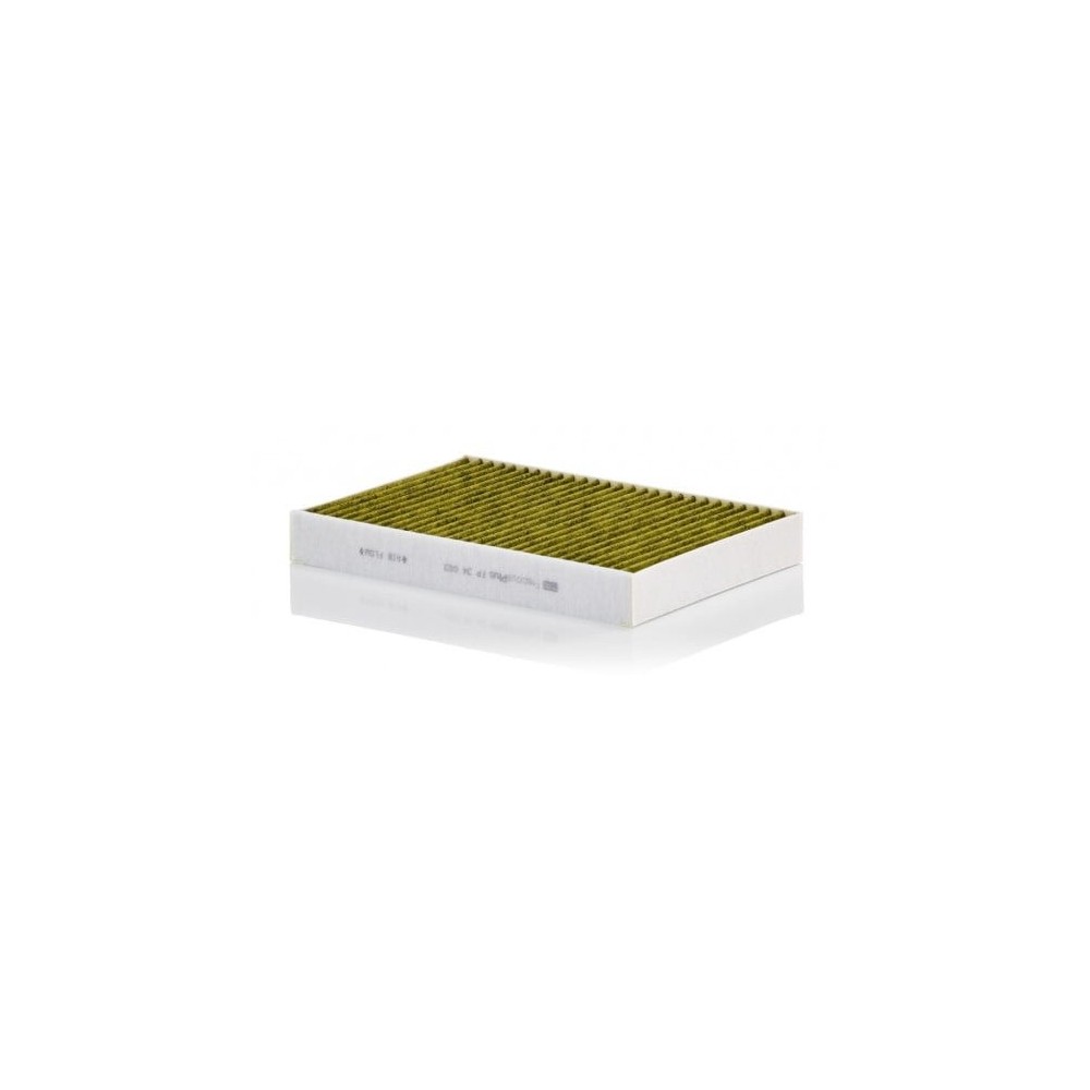 Salono filtras MANN-FILTER FP 34 003