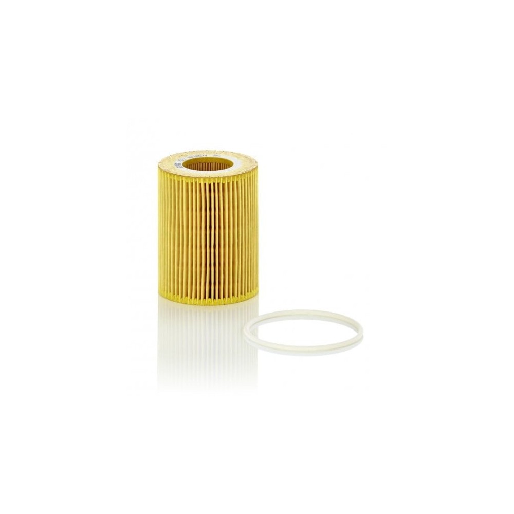 Alyvos filtras MANN-FILTER HU 925/4 y