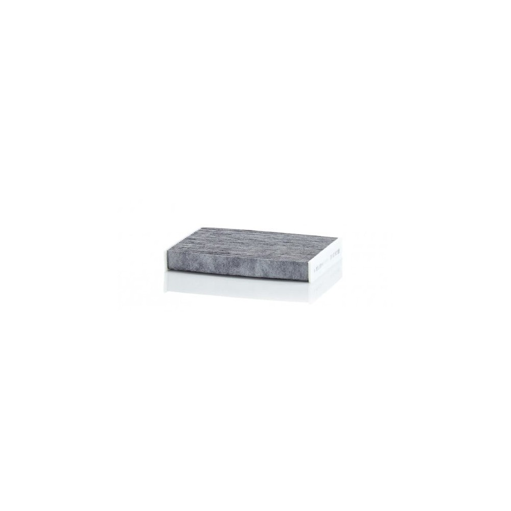Salono filtras MANN-FILTER CUK 25 012