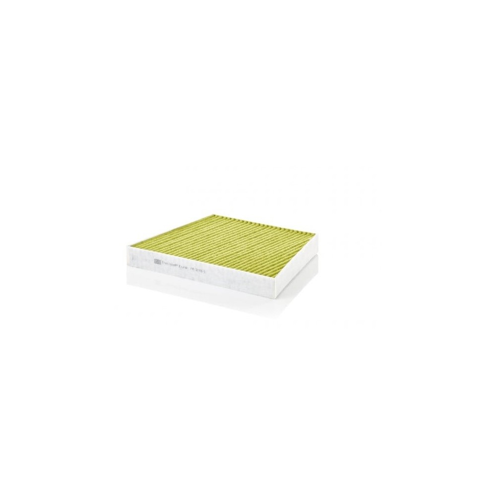 Salono filtras MANN-FILTER FP 3172/1