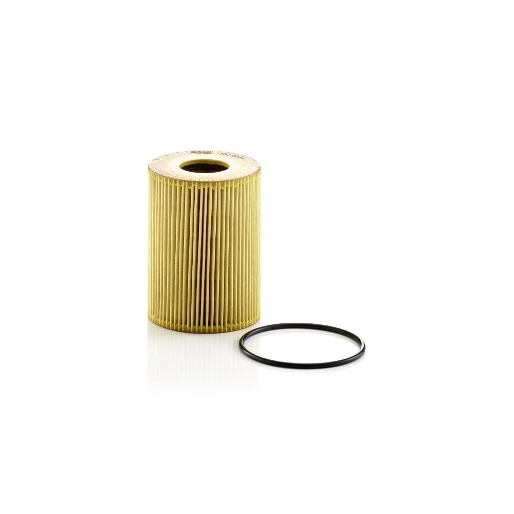 Alyvos filtras MANN-FILTER HU 9001 x