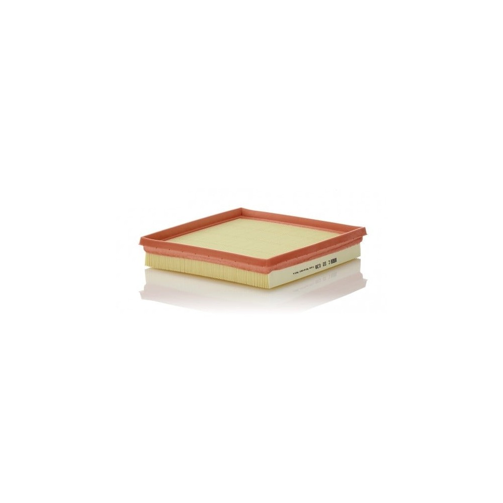 Oro filtras MANN-FILTER C 22 038