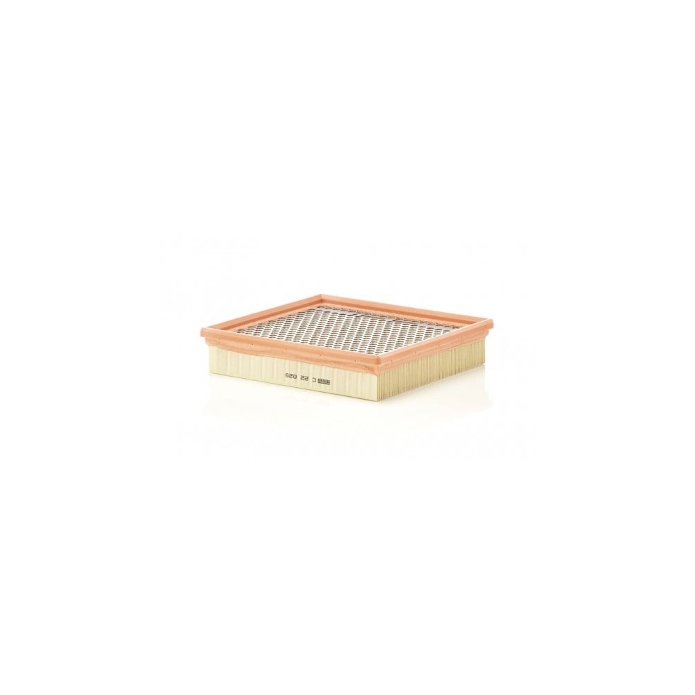 Oro filtras MANN-FILTER C 22 029