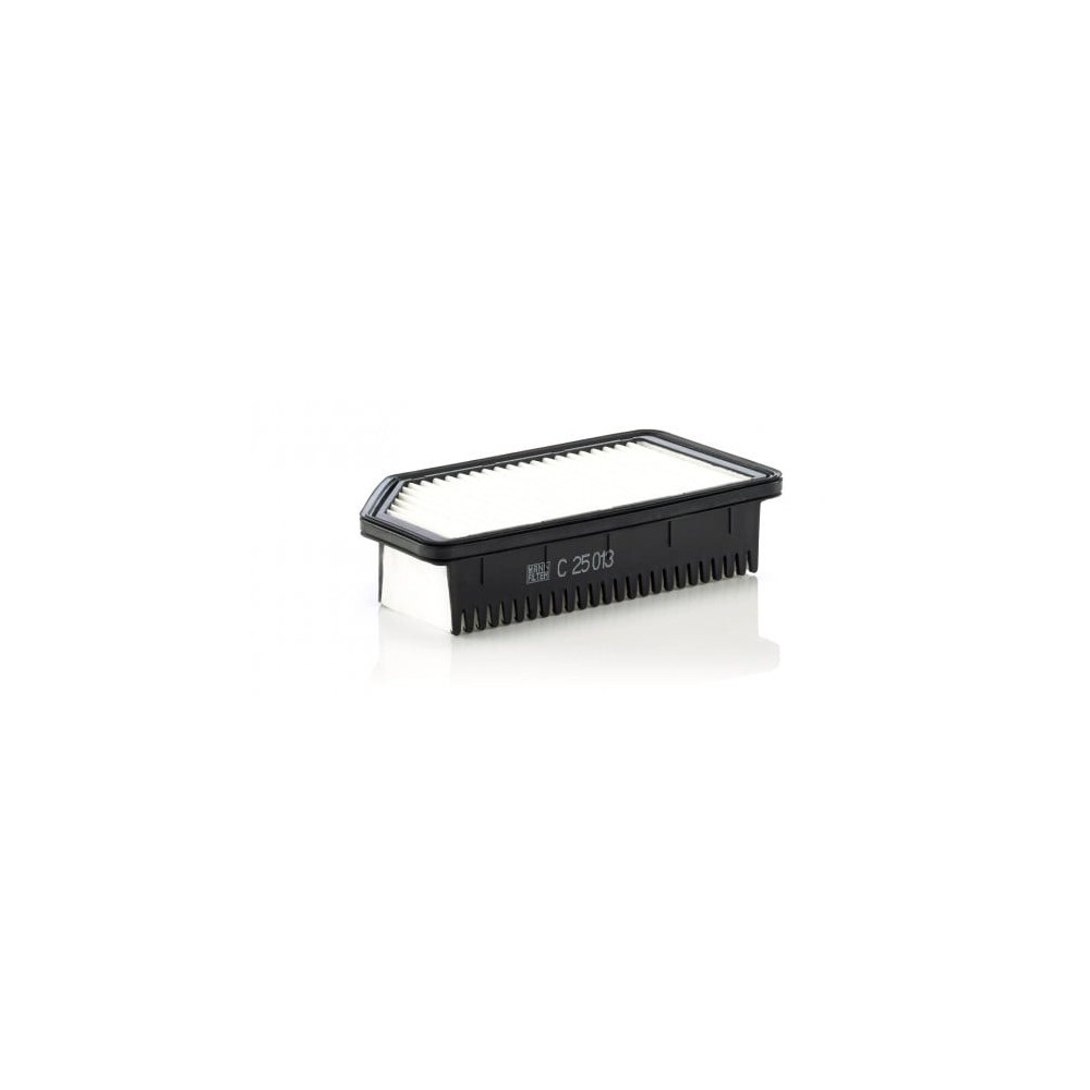 Oro filtras MANN-FILTER C 25 013