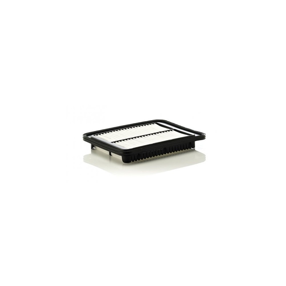 Oro filtras MANN-FILTER C 24 010