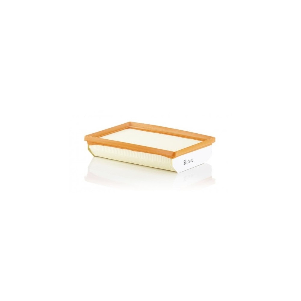 Oro filtras MANN-FILTER C 25 033