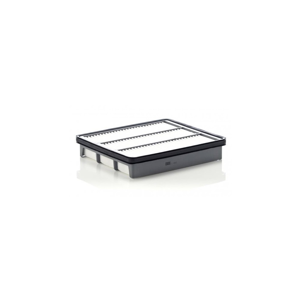 Oro filtras MANN-FILTER C 2542