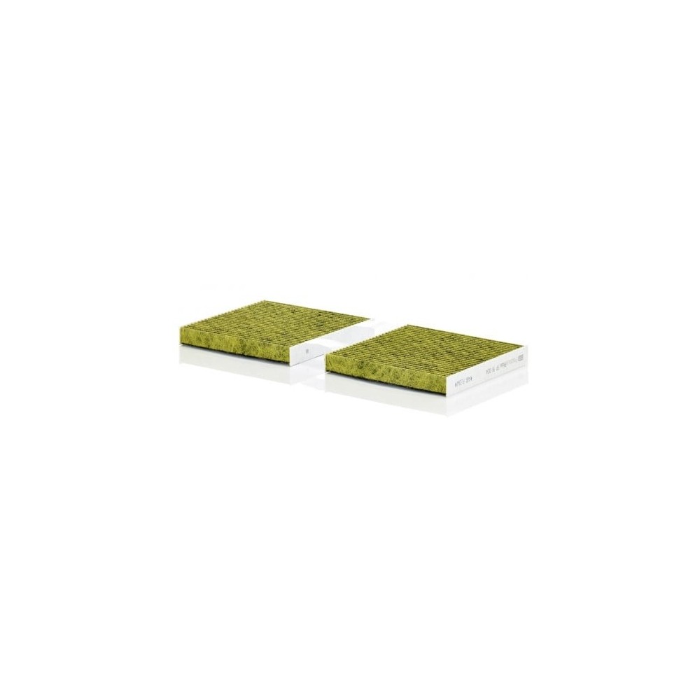 Salono filtras MANN-FILTER FP 19 004