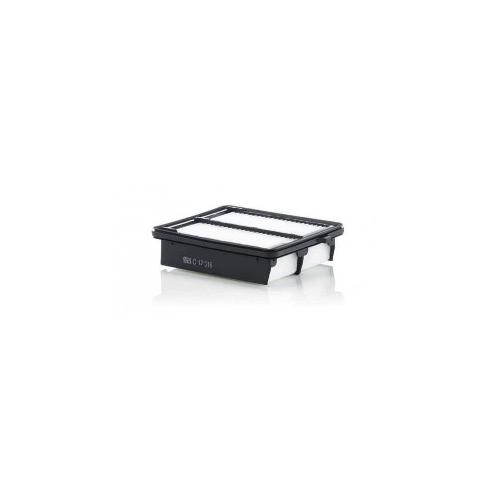 Oro filtras MANN-FILTER C 17 016