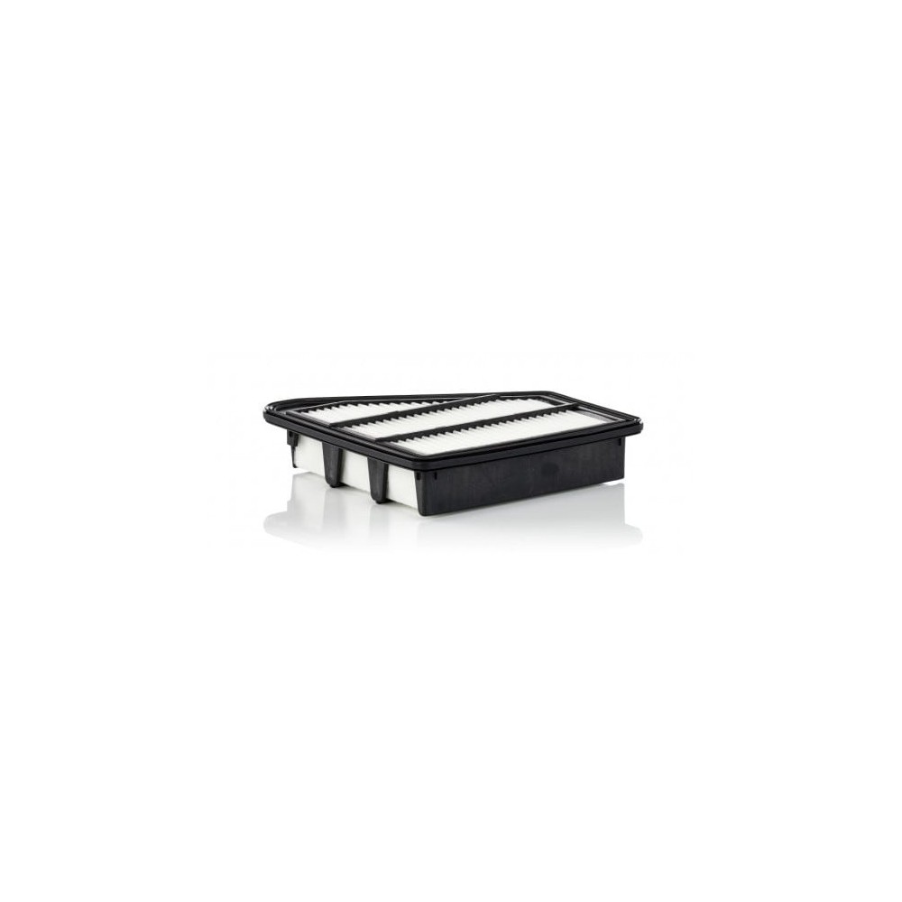 Oro filtras MANN-FILTER C 24 075