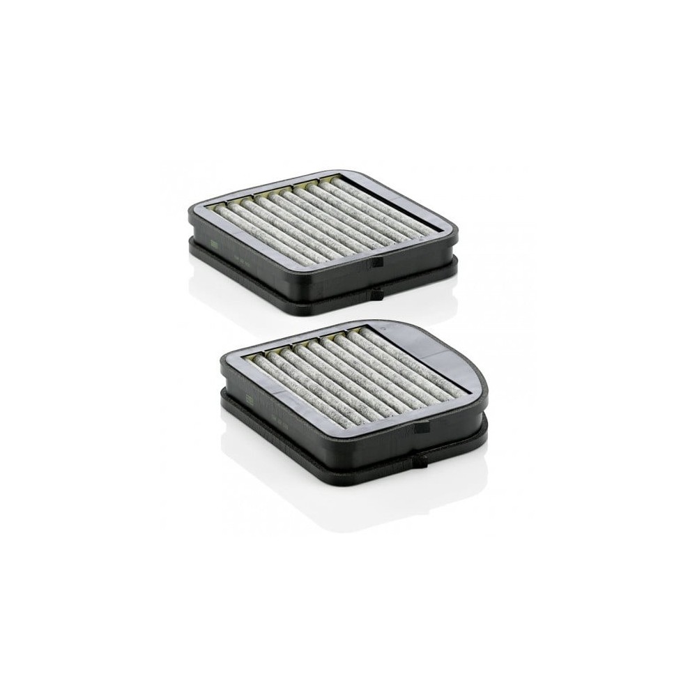 Salono filtras MANN-FILTER CUK 22 000-2