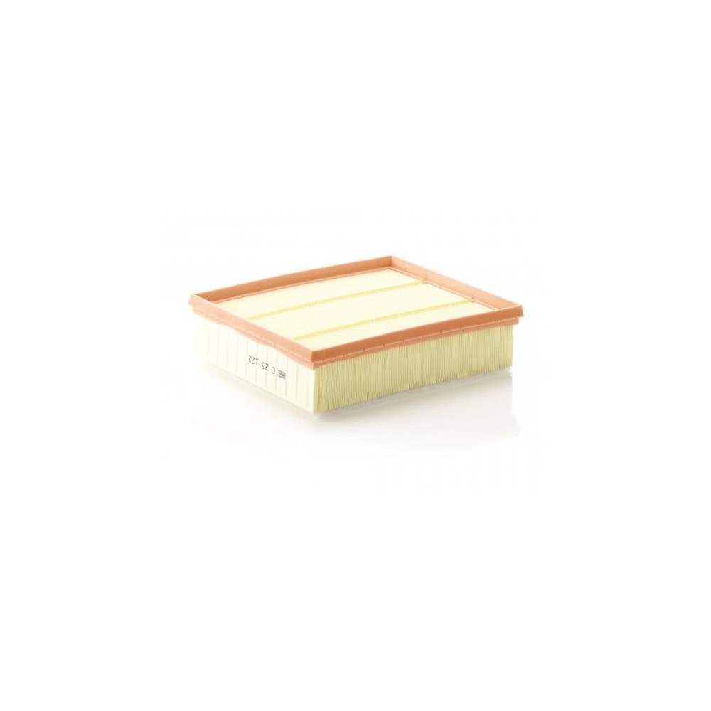 Oro filtras MANN-FILTER C 25 122