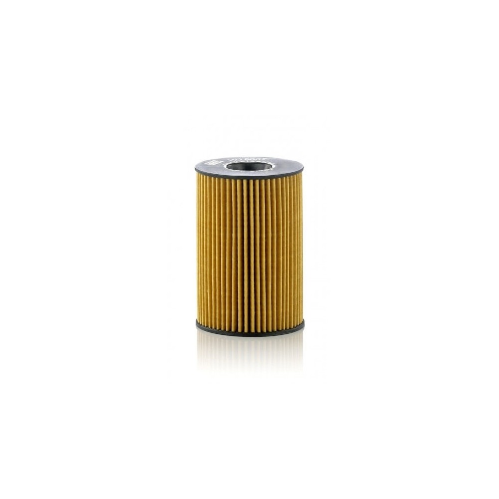 Alyvos filtras MANN-FILTER HU 8007 z