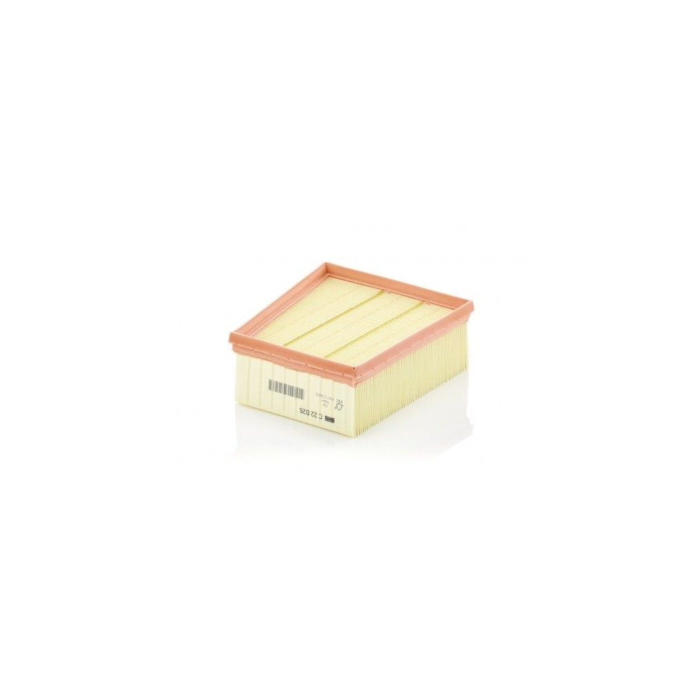 Oro filtras MANN-FILTER C 22 026