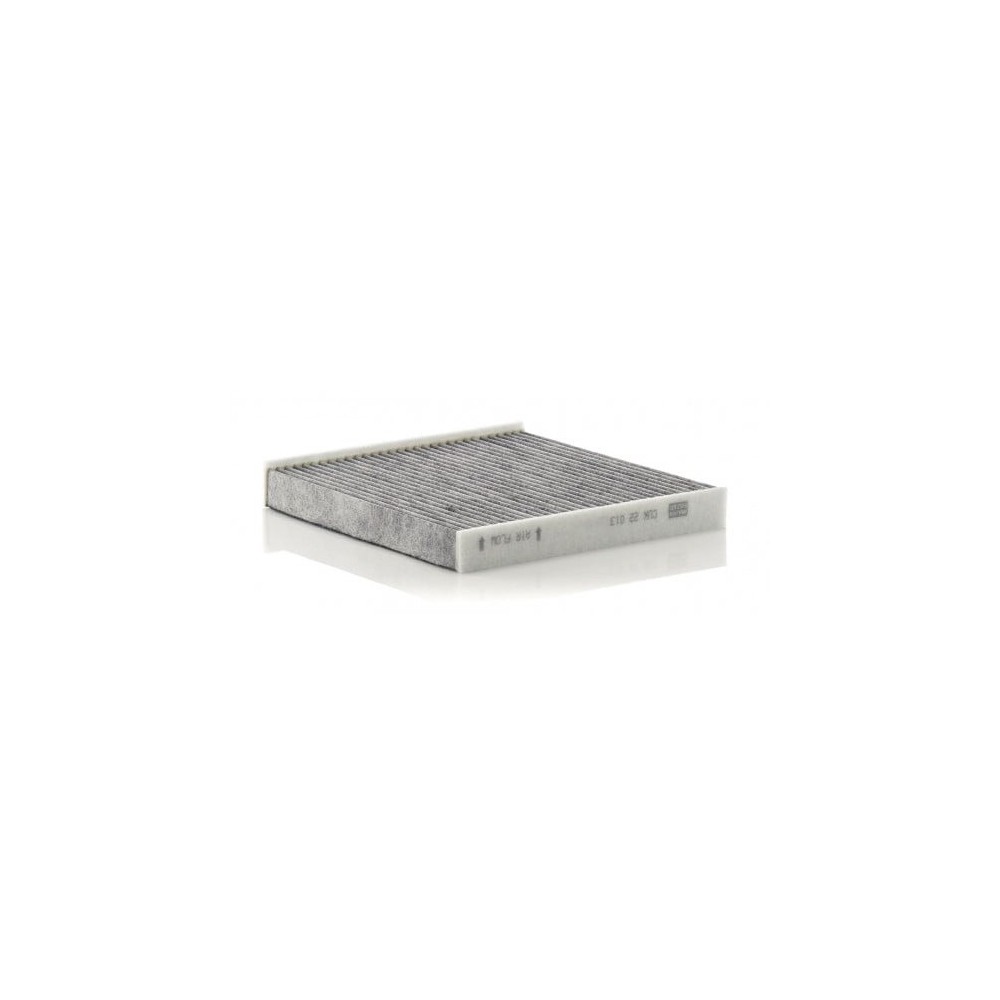 Salono filtras MANN-FILTER CUK 22 013