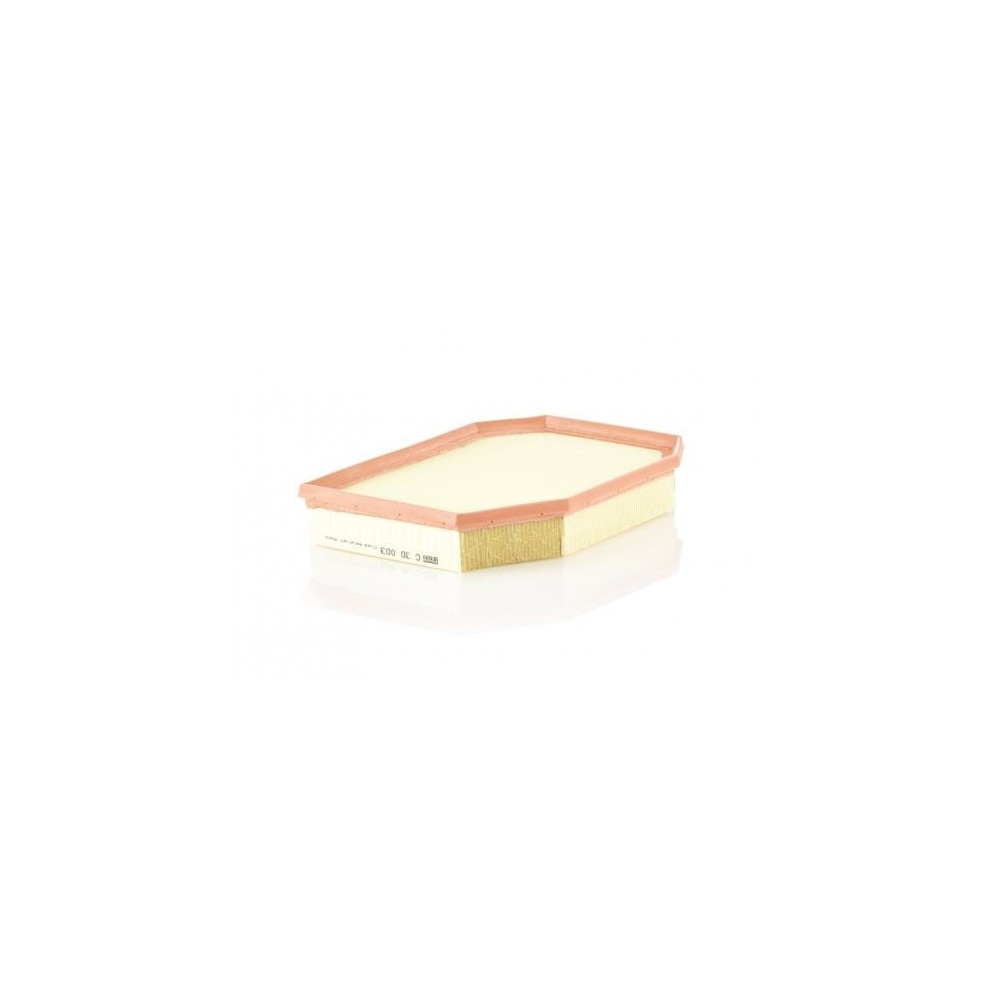 Oro filtras MANN-FILTER C 30 003