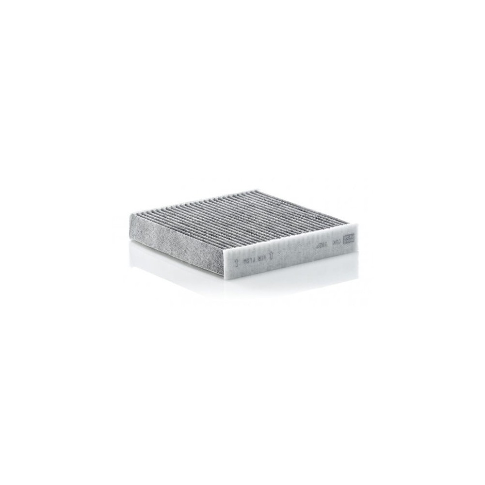 Salono filtras MANN-FILTER CUK 1827