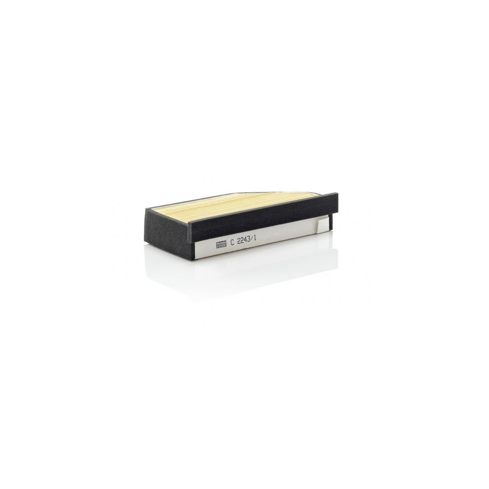 Oro filtras MANN-FILTER C 2243/1