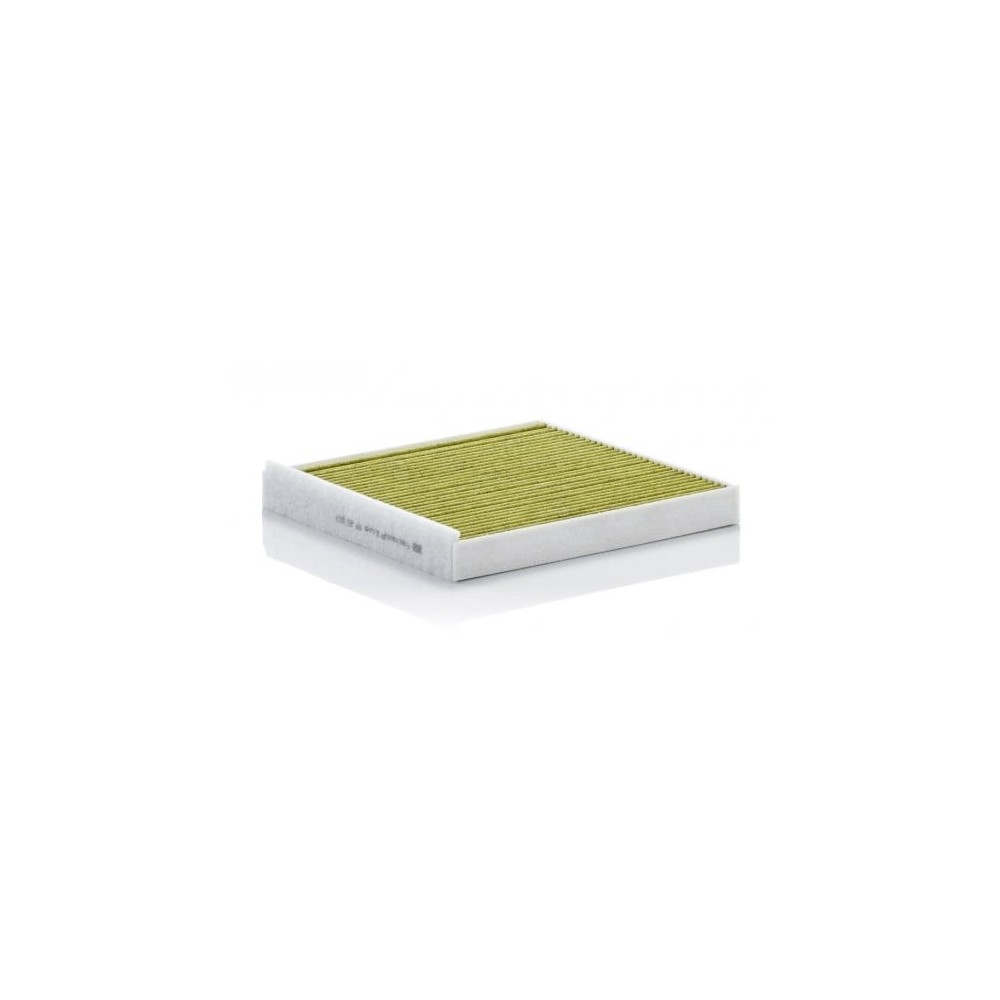 Salono filtras MANN-FILTER FP 22 013