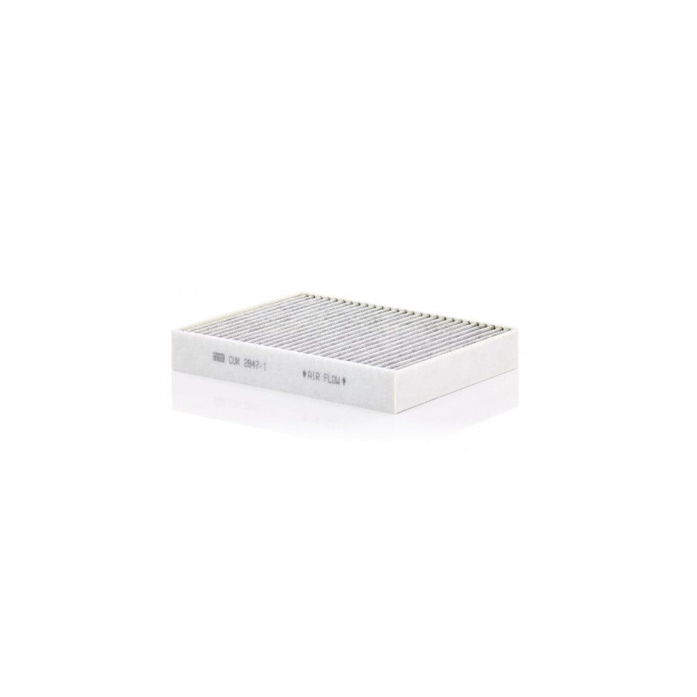 Salono filtras MANN-FILTER CUK 2847/1