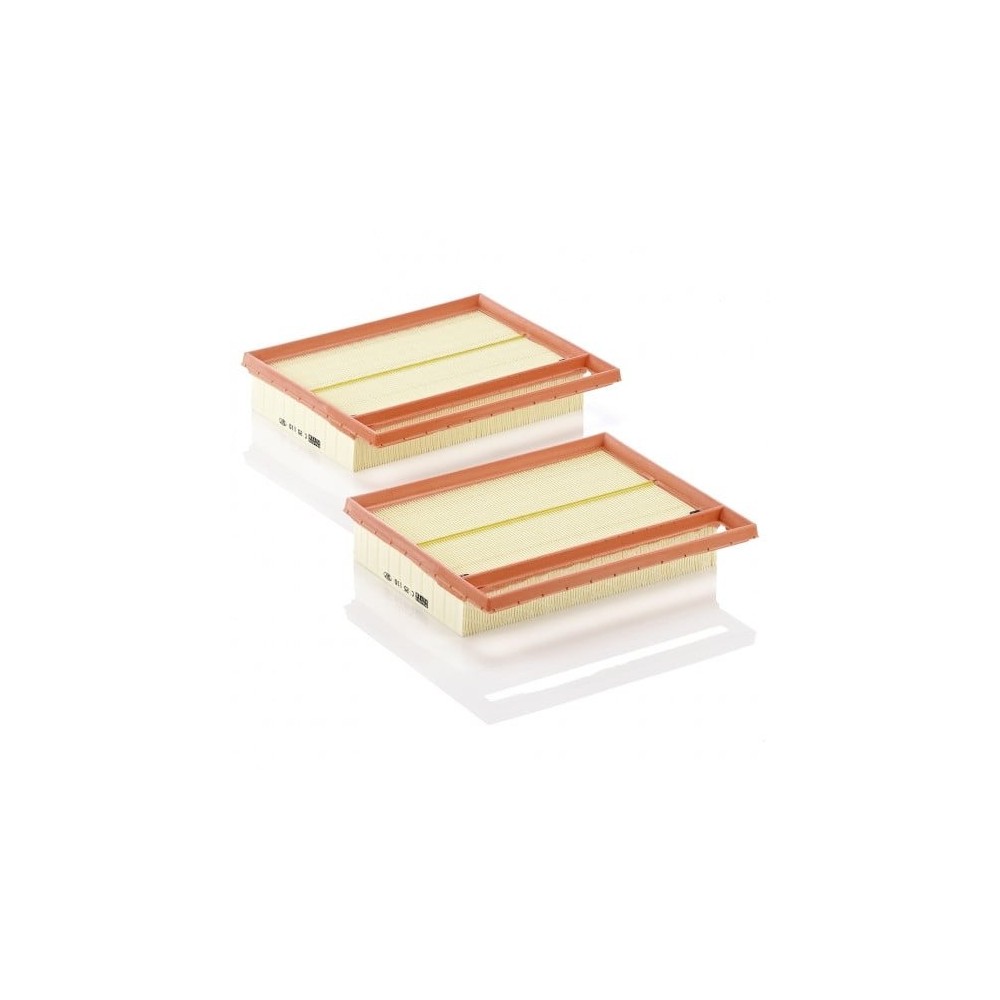 Oro filtras MANN-FILTER C 25 110-2