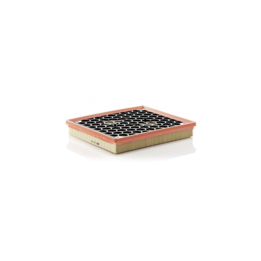 Oro filtras MANN-FILTER C 29 145