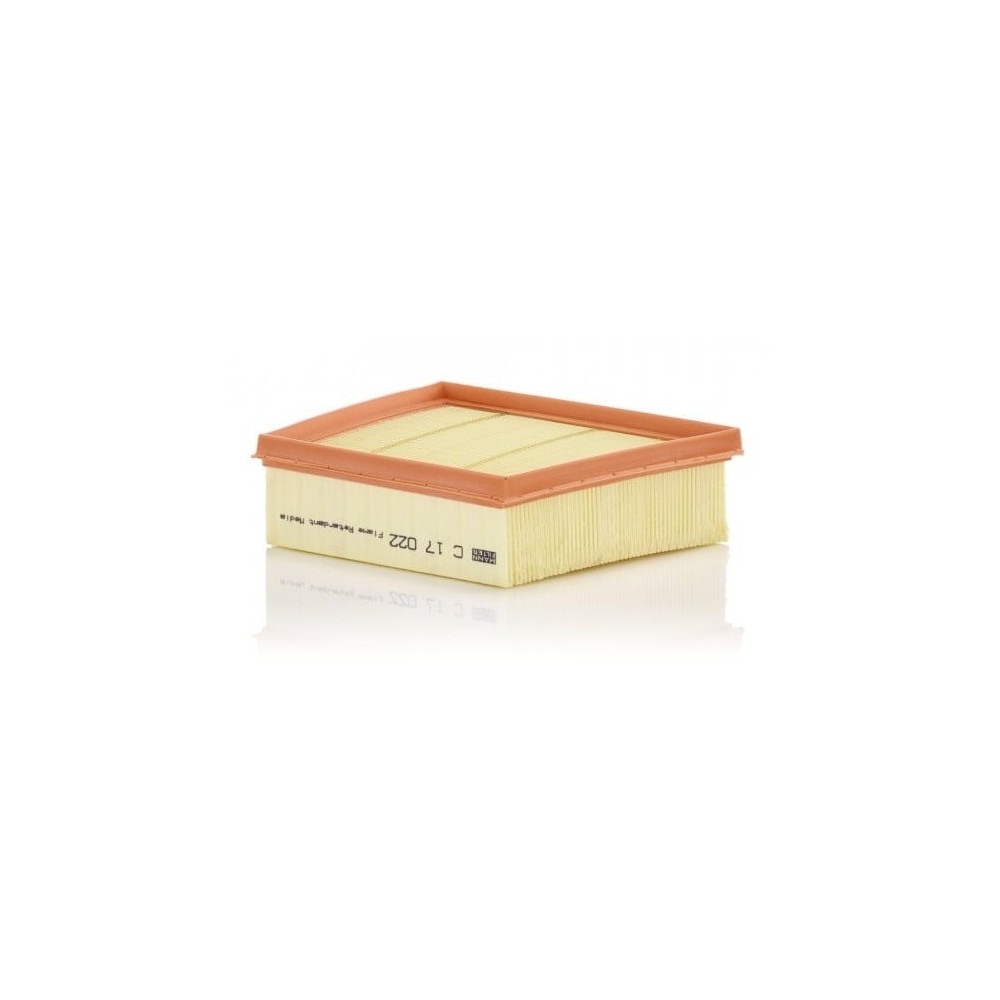 Oro filtras MANN-FILTER C 17 022