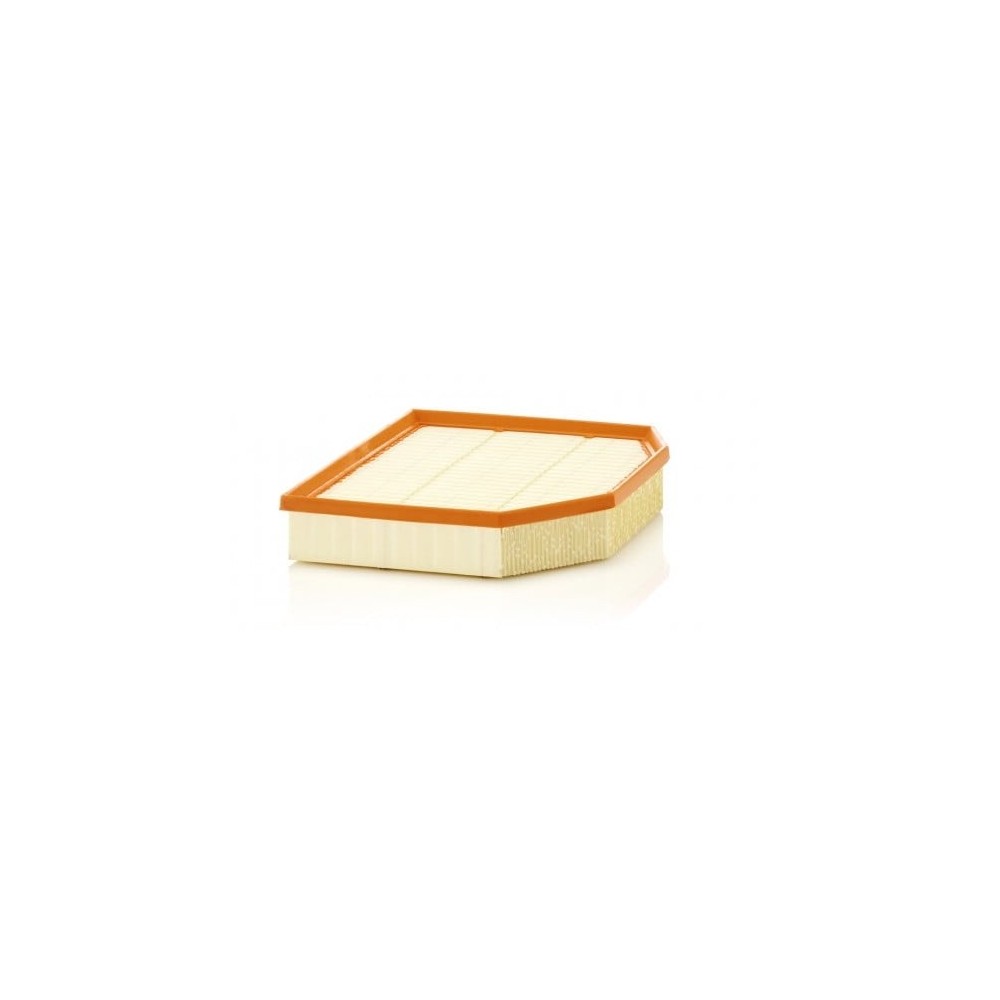 Oro filtras MANN-FILTER C 29 132