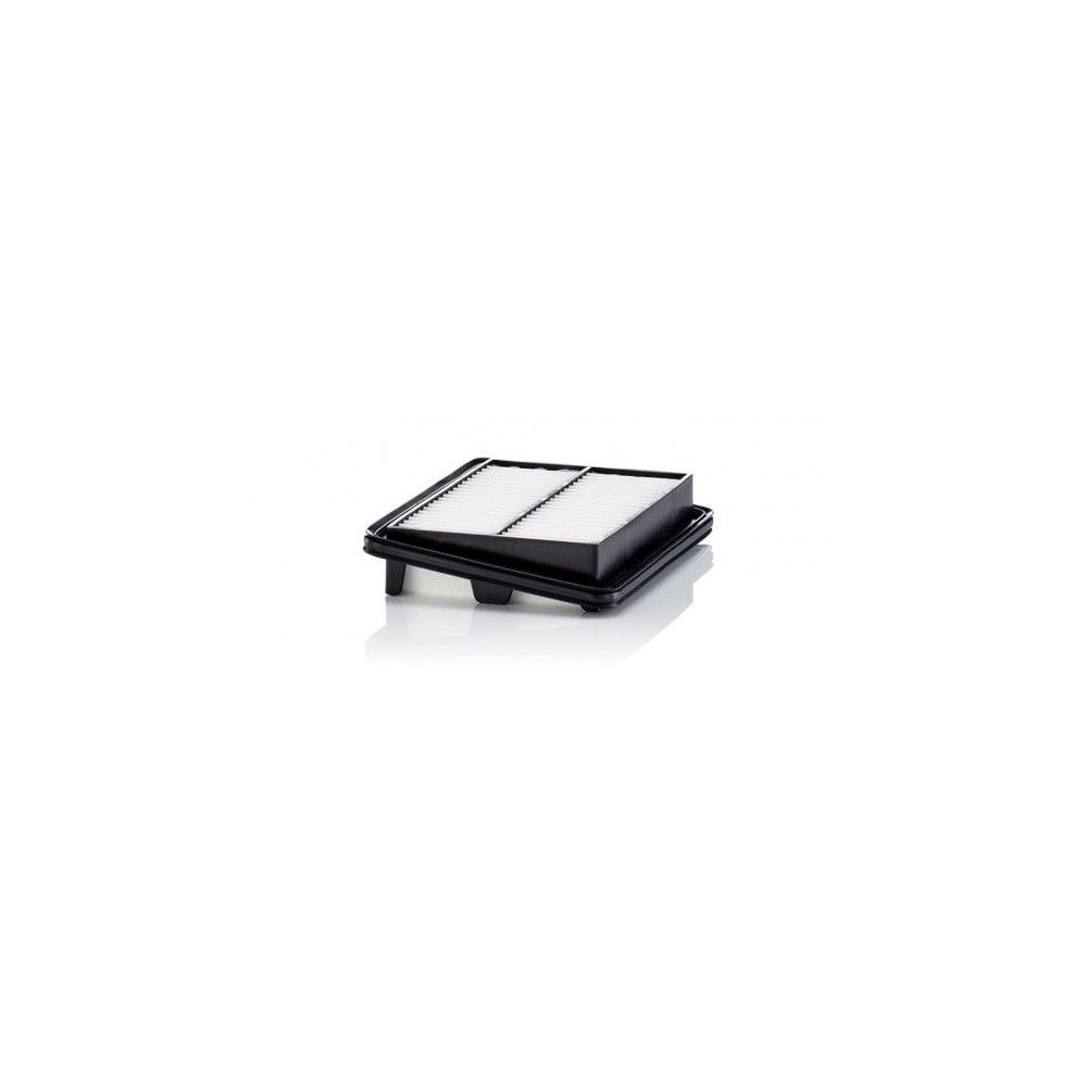 Oro filtras MANN-FILTER C 22 060