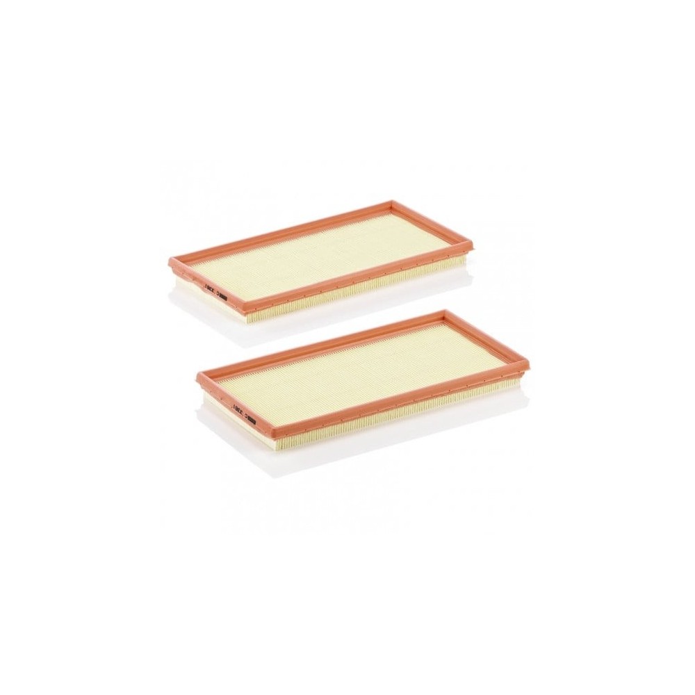 Oro filtras MANN-FILTER C 3361-2